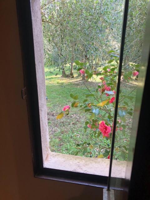 קולה ואל ד'אלזה Agriturismo La Pieve מראה חיצוני תמונה