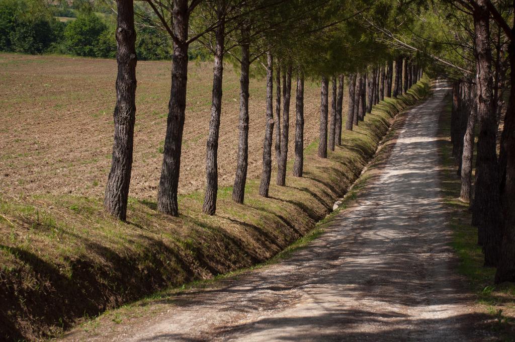 קולה ואל ד'אלזה Agriturismo La Pieve מראה חיצוני תמונה
