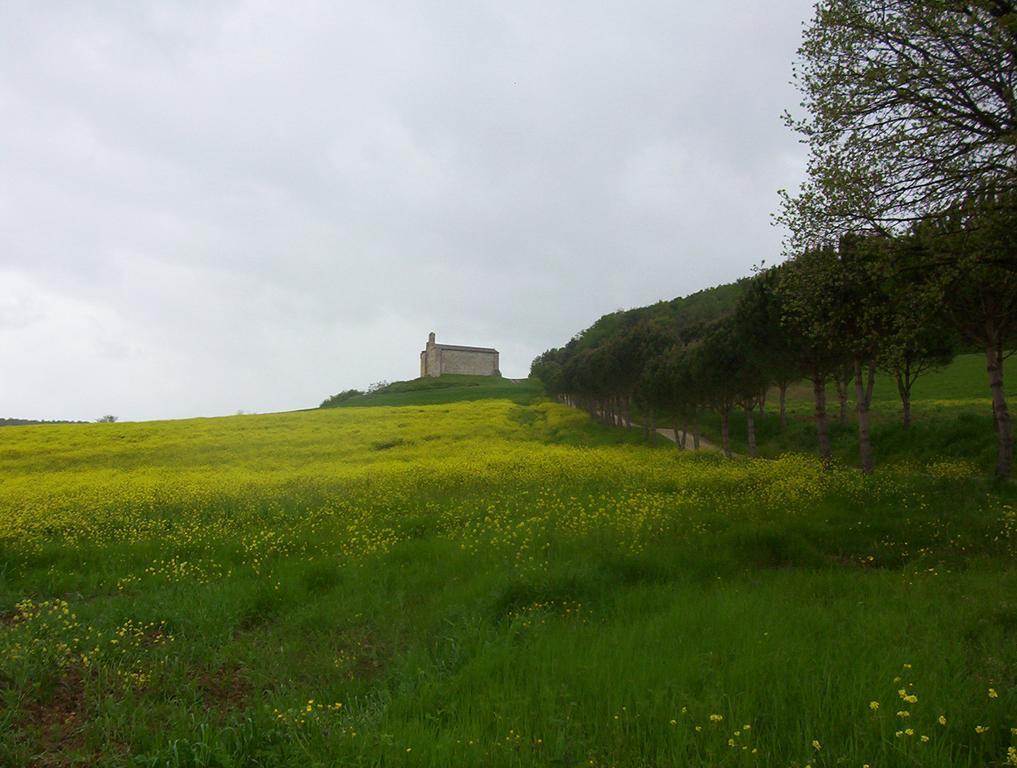 קולה ואל ד'אלזה Agriturismo La Pieve מראה חיצוני תמונה