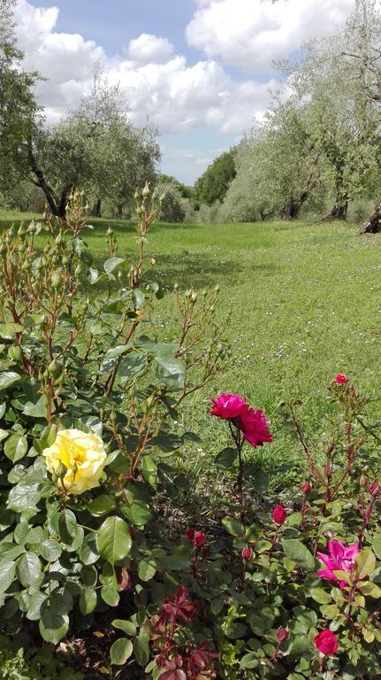 קולה ואל ד'אלזה Agriturismo La Pieve מראה חיצוני תמונה